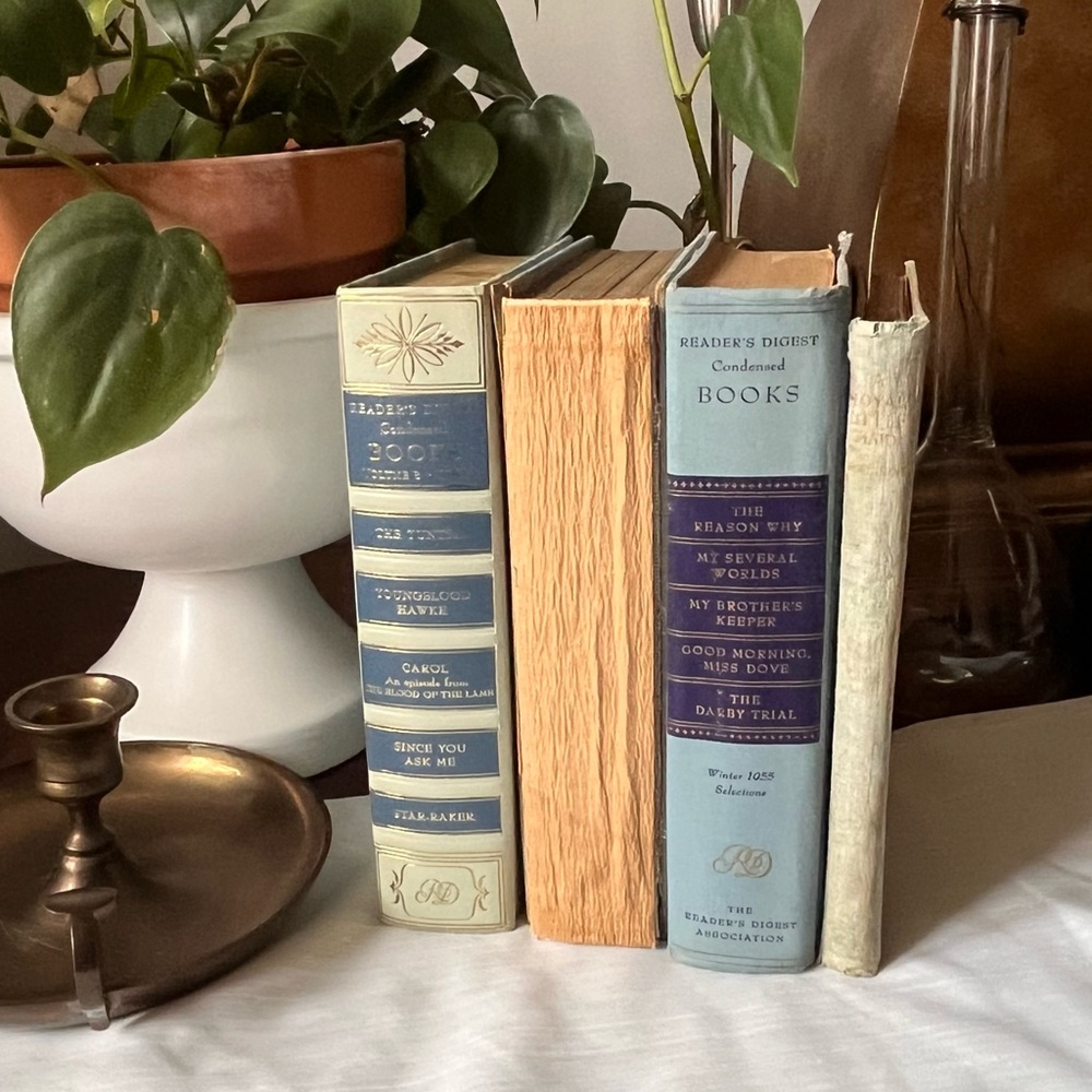 Curated Book Stack Set Decorative Vintage Hardcover Shelf Filler Blue Neutral